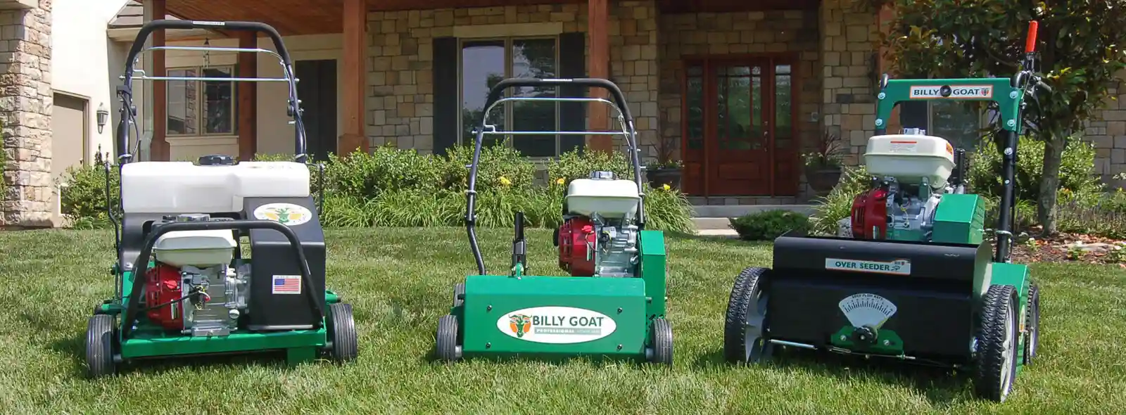 Spring yard clean up